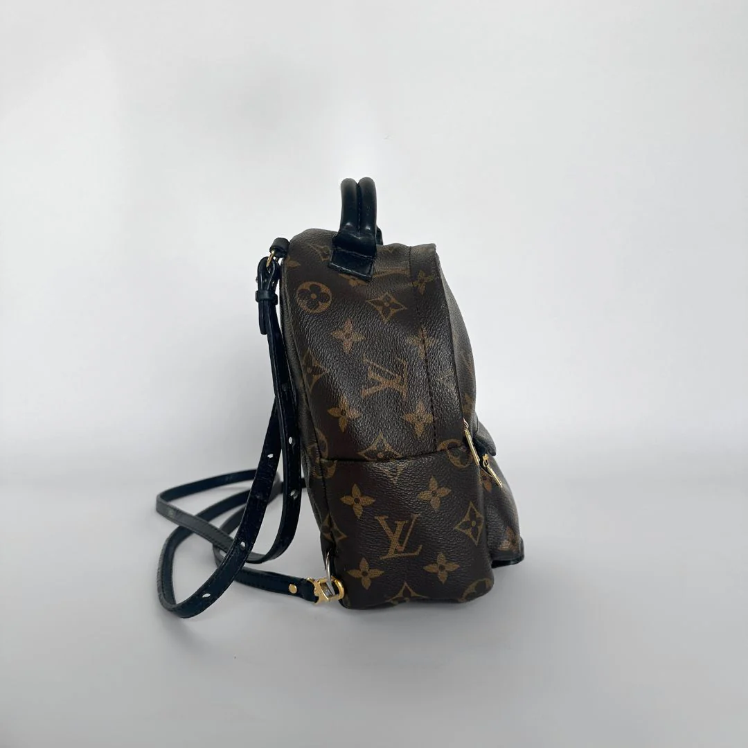 Louis Vuitton Palm Springs Backpack Mini Monogram Canvas - Image 3