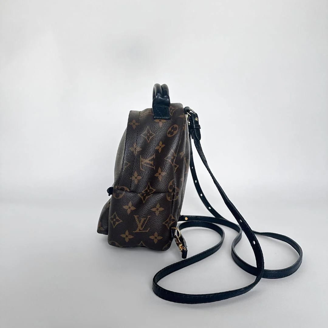 Louis Vuitton Palm Springs Backpack Mini Monogram Canvas - Image 5
